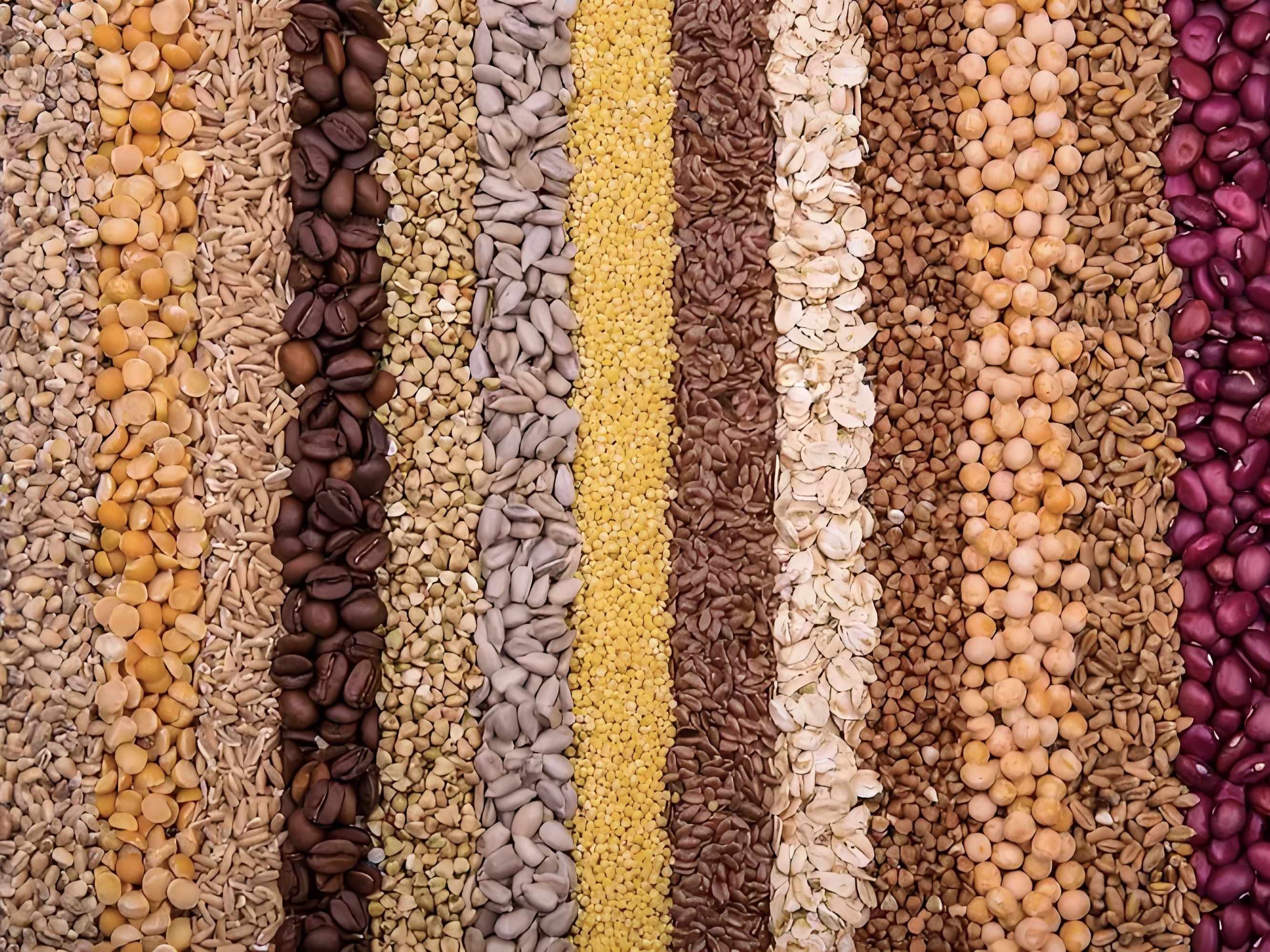 صناعة المواد الغذائية
