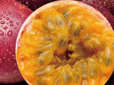 고효율 식물 꽃과 과일 촉진제 비료_06