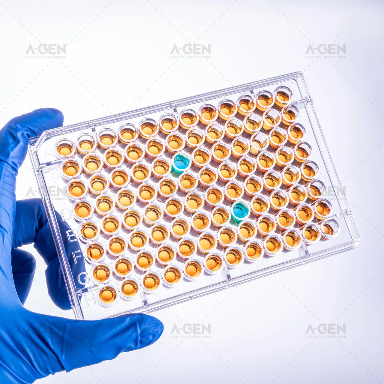 实验室耗材供应_酶标板_爱津生物