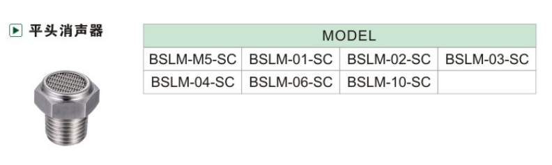 BSLM-SC