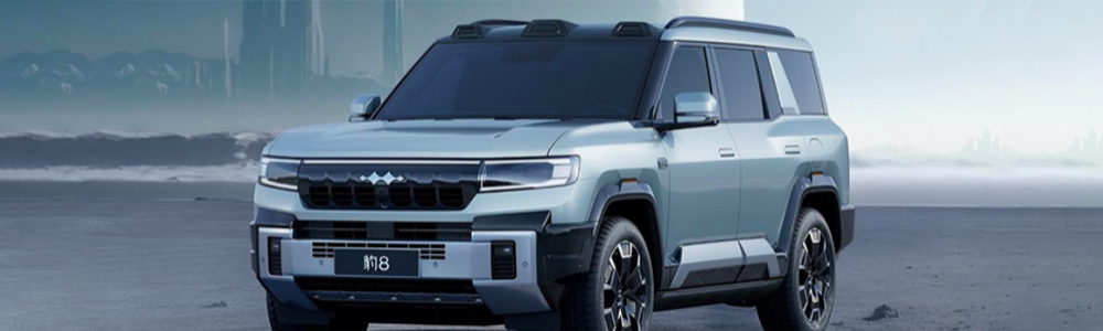 Bagong Energy Equation Leopard Automotive mula sa China