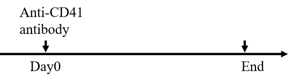 5456d841691de3886e4677f977930d4