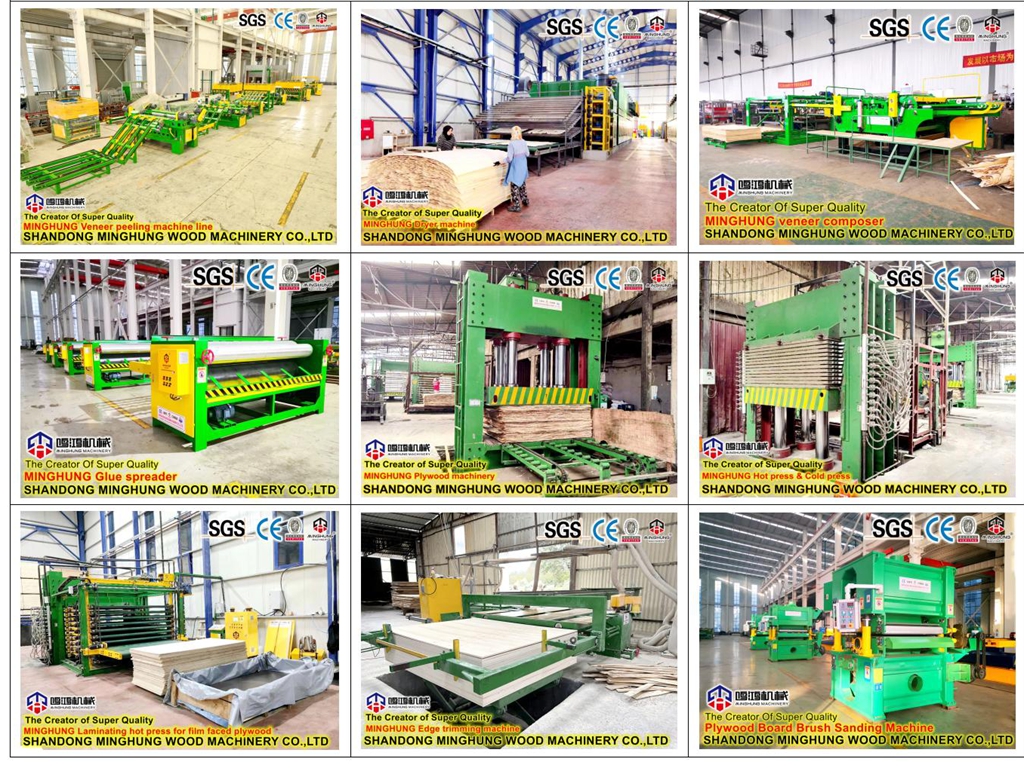 L&iacute;nea de producci&oacute;n de madera contrachapada de China