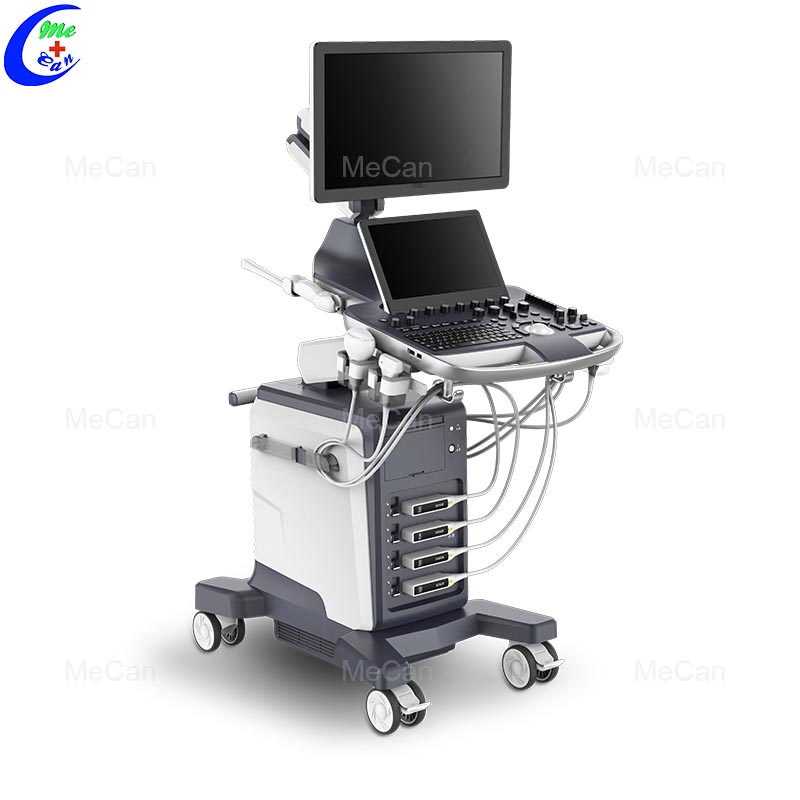Yakazara Digital Ultrasound Diagnostic System