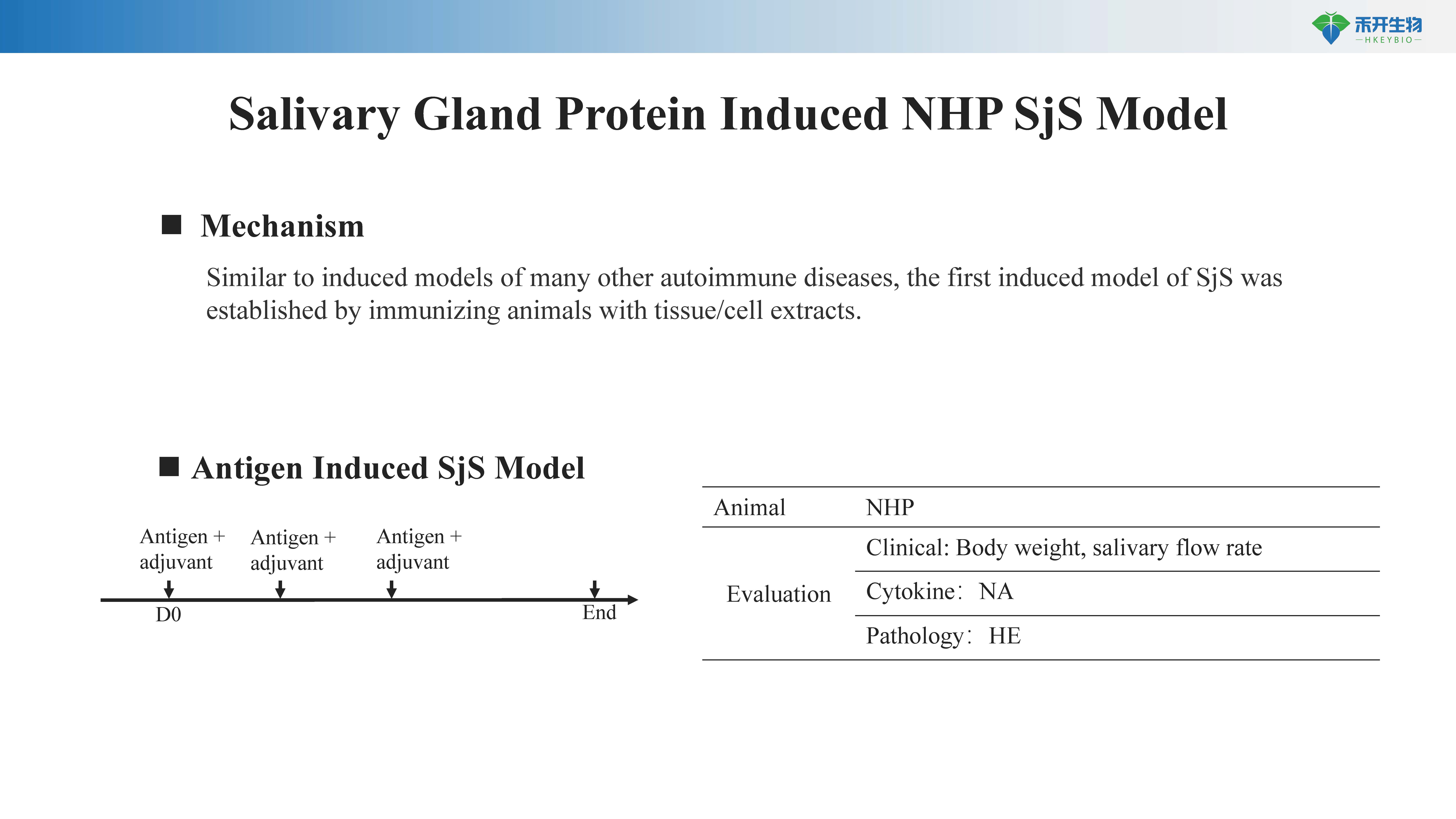 NHP 干燥综合征-NHP SjS模型介绍-20230509_20240612104307