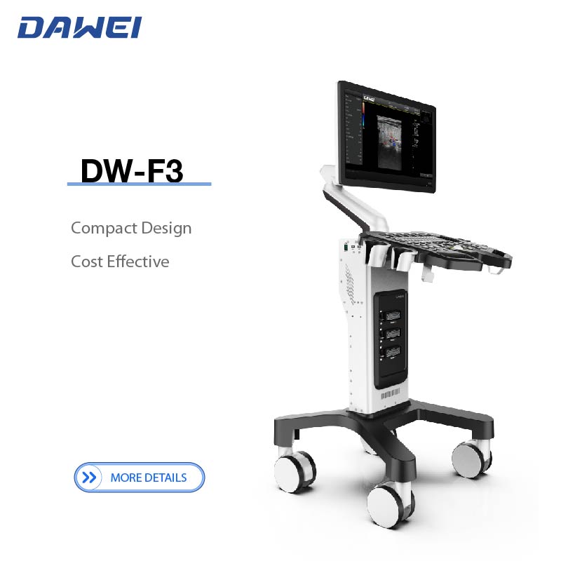 DW-F3