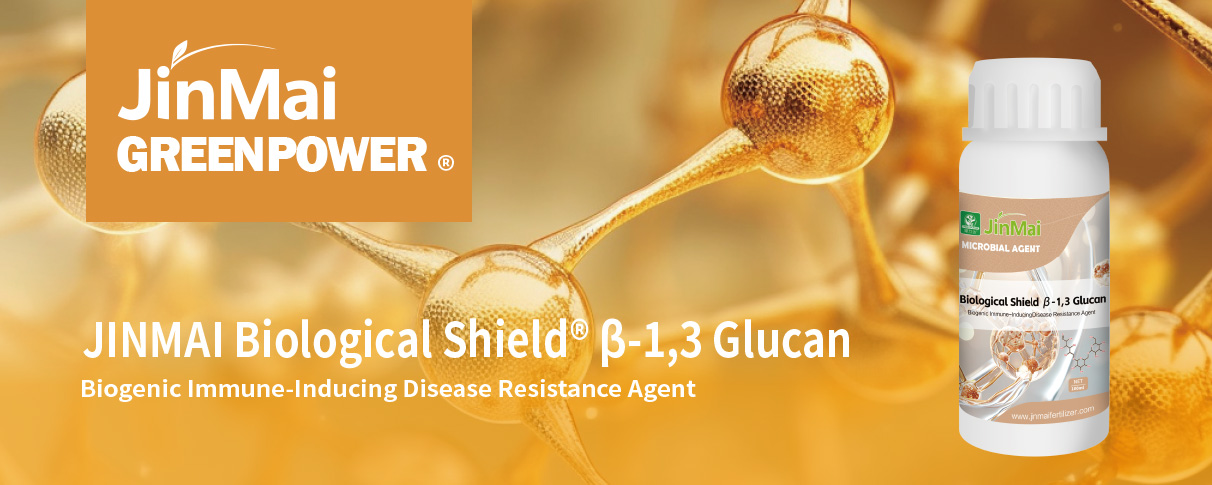 Engrais β-1,3 Glucane_01