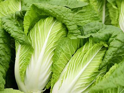 ब्रॉड-स्पेक्ट्रम जीवाणुरोधी और कवकनाशी_07