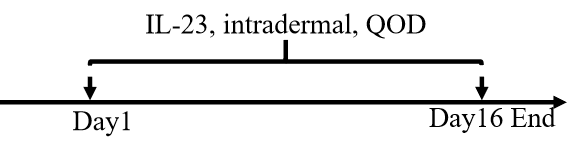 a8005c0d4e90c088b86f075e0074dda