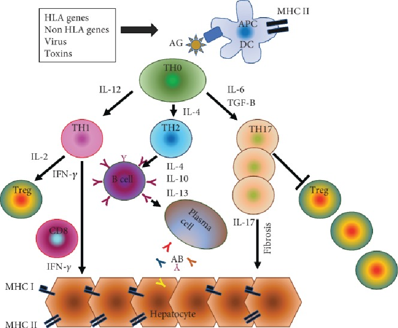 d53ad195b6a5494406c0c9c13cd054a