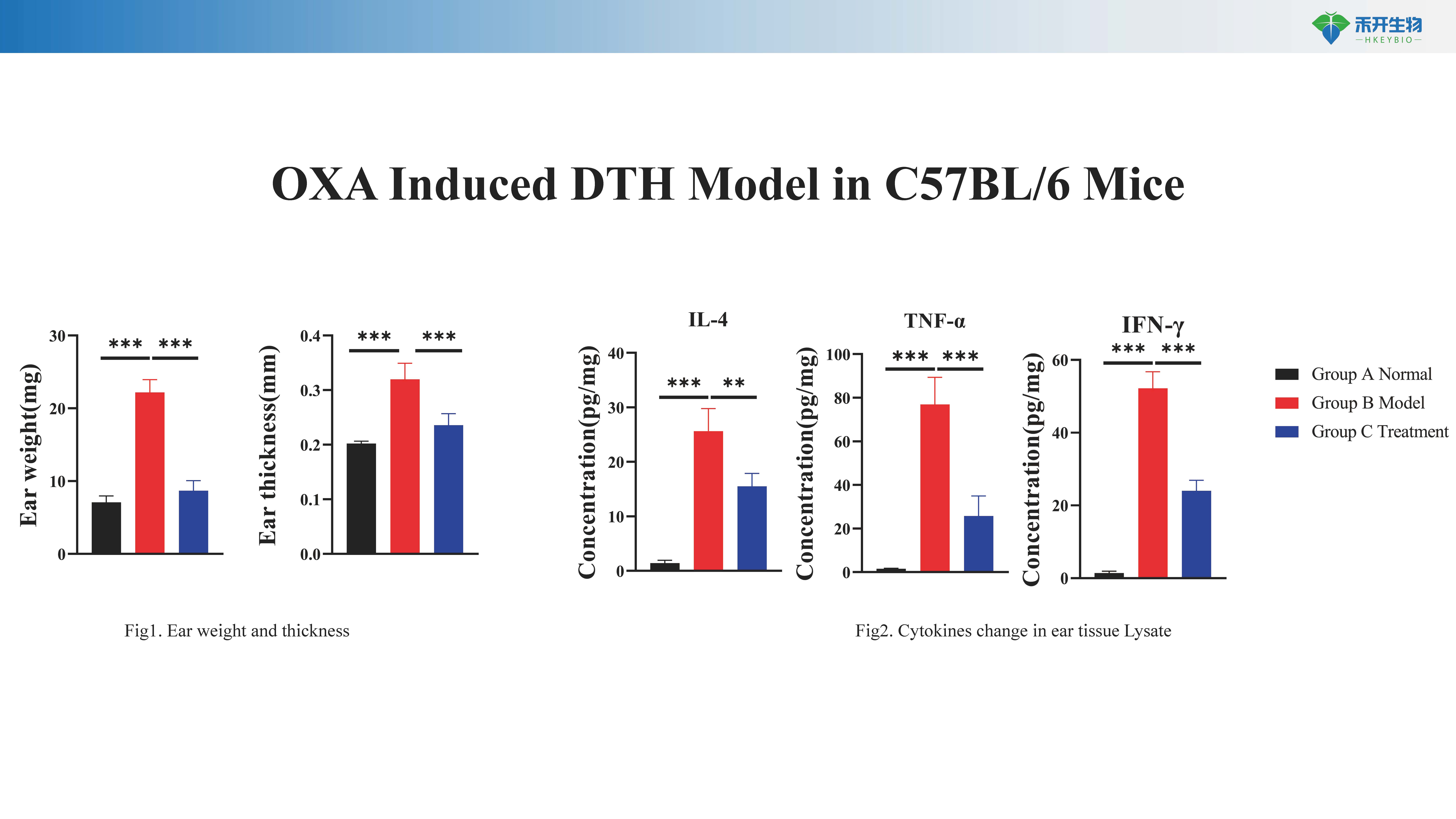 DTH 模型介绍 20231102_20240604153758