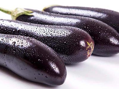 Especializado para controle de nemat&oacute;ides_07