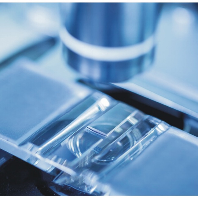 Поставщик полупроводникового кварцевого стекла высокой чистоты