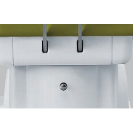 ပင်မခလုတ် 