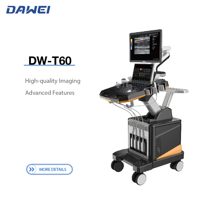 DW-T60