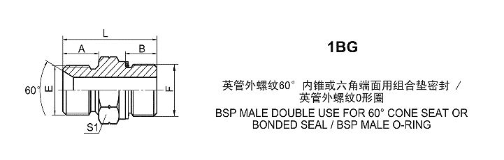 1BG-