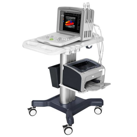 (MS-C5500) Scanner à ultrasons Doppler couleur portable pour système de diagnostic 4D
